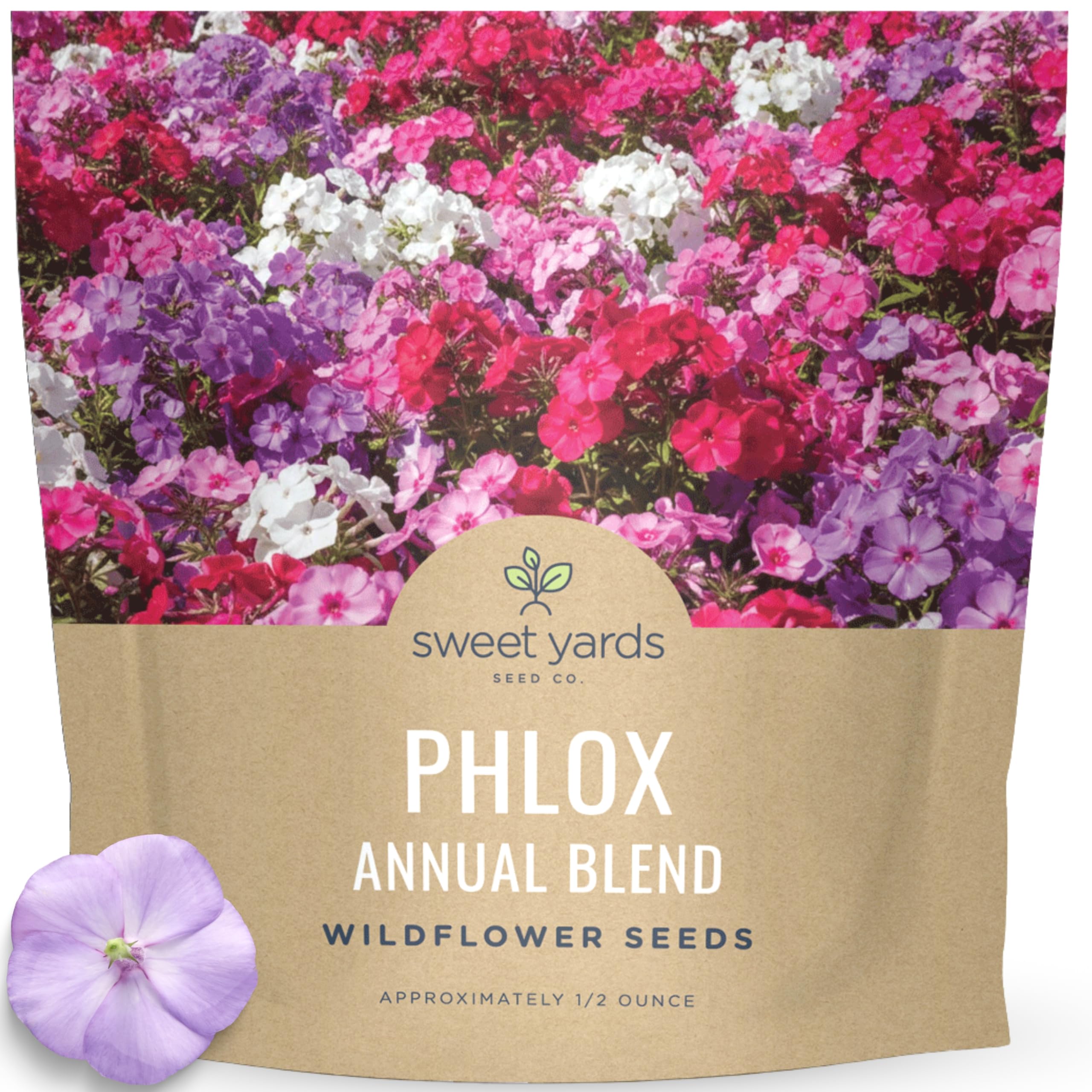 Amazon.com : Phlox Annual Blend – Large 1/2 Ounce Seed Packet